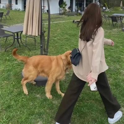 情挑淑女心